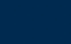 Navy Blue decking color