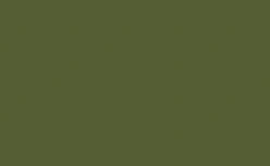 Olive Green decking color